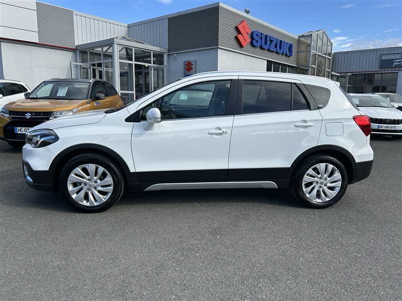suzuki - Visuel 1