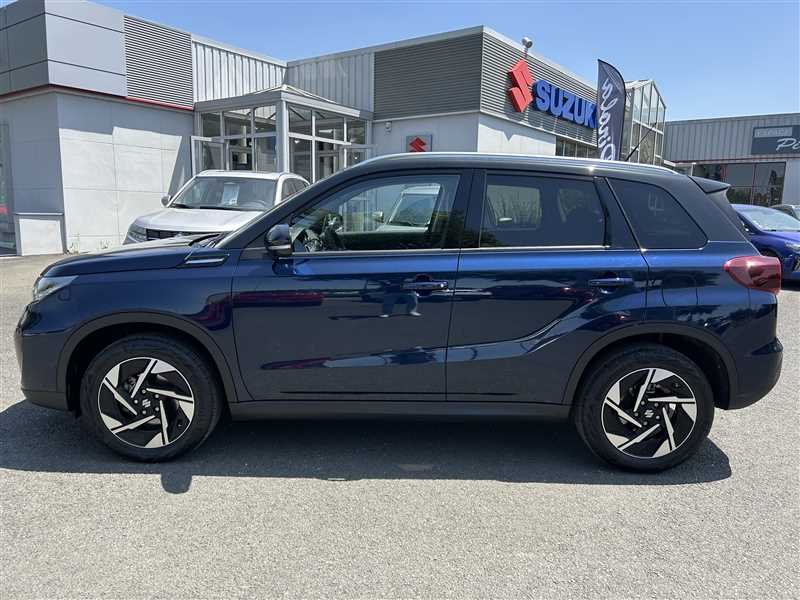 suzuki - Visuel 1