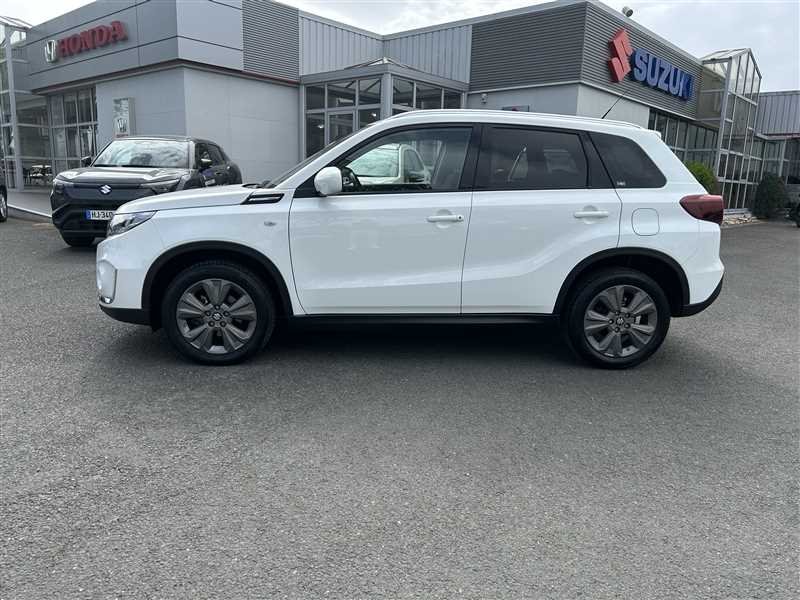 suzuki - Visuel 1