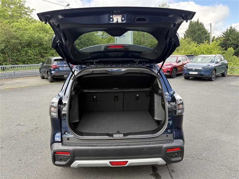 suzuki - Visuel 2