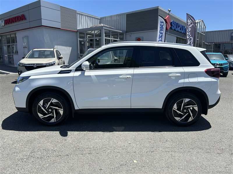 suzuki - Visuel 1