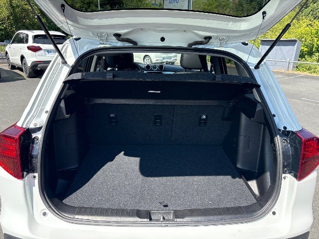 suzuki - Visuel 2