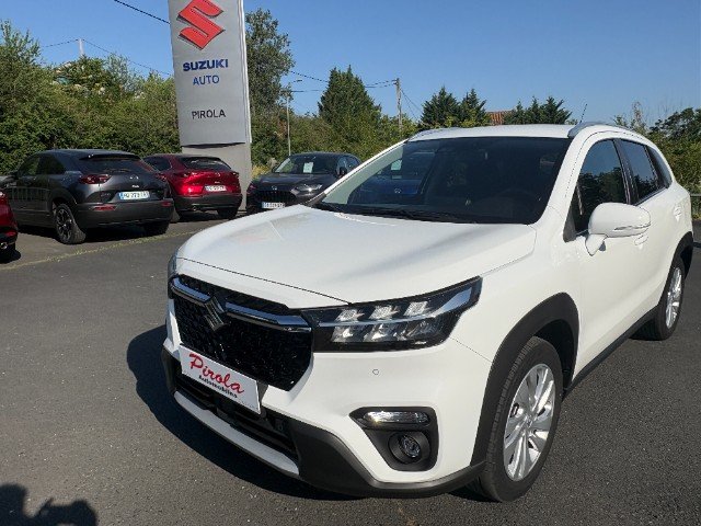 suzuki - Visuel 0