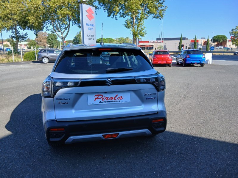 suzuki - Visuel 1